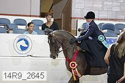 14r9_2645 proof