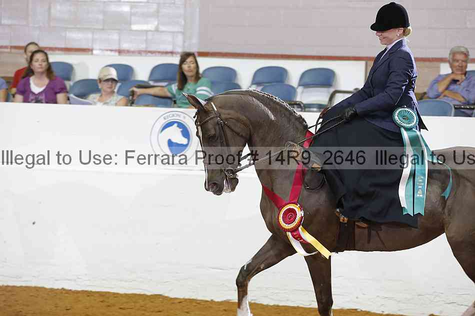 Proof 14r9_2646