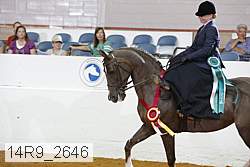 14r9_2646 proof