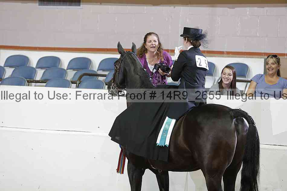 Proof 14r9_2655