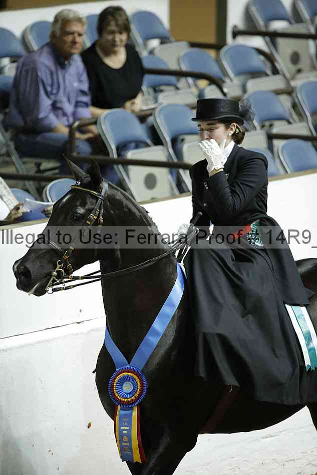 Proof 14r9_2656