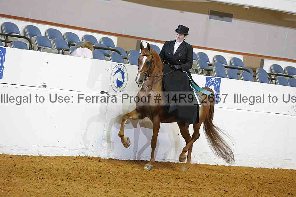 Proof 14r9_2657