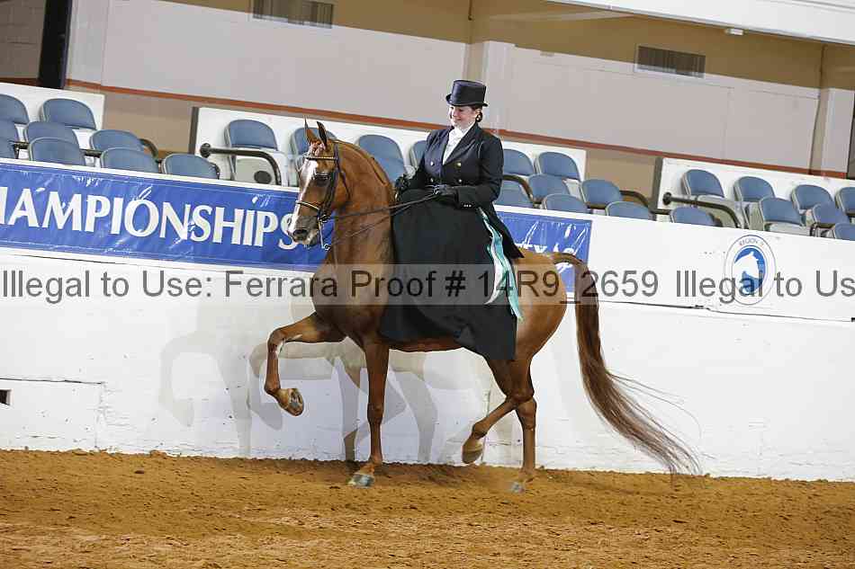 Proof 14r9_2659