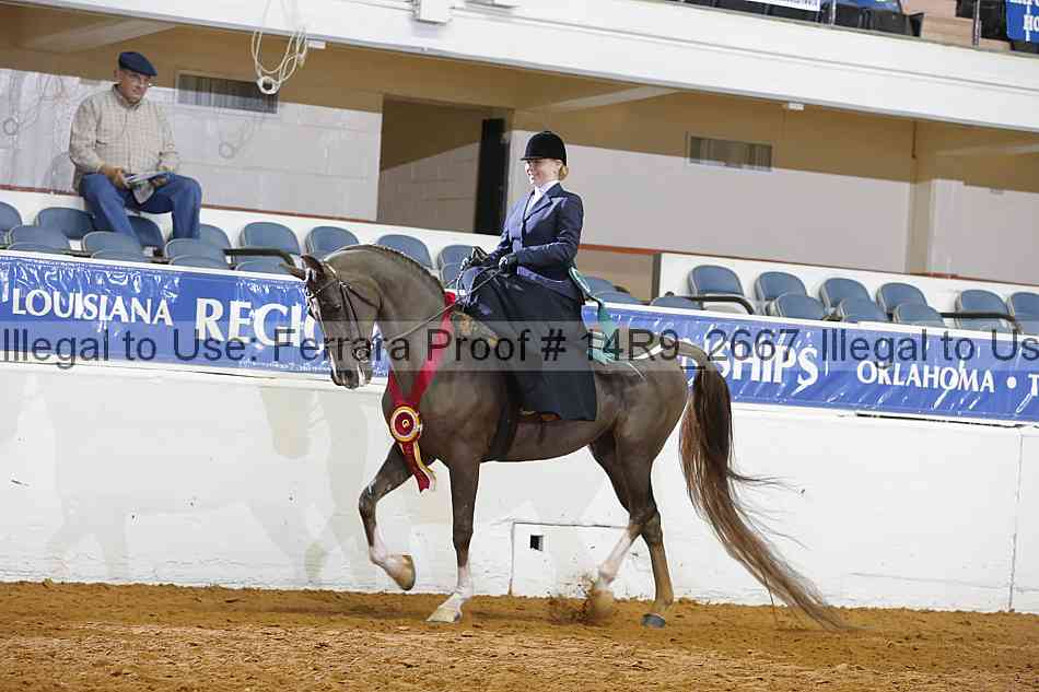 Proof 14r9_2667