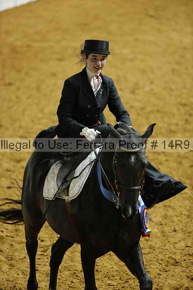 Proof 14r9_2674
