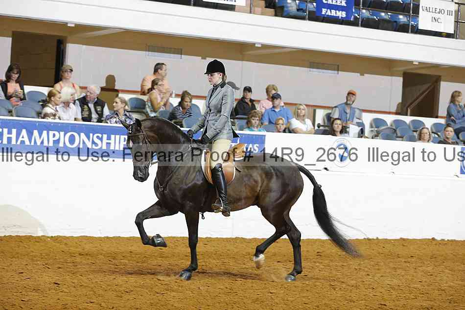 Proof 14r9_2676