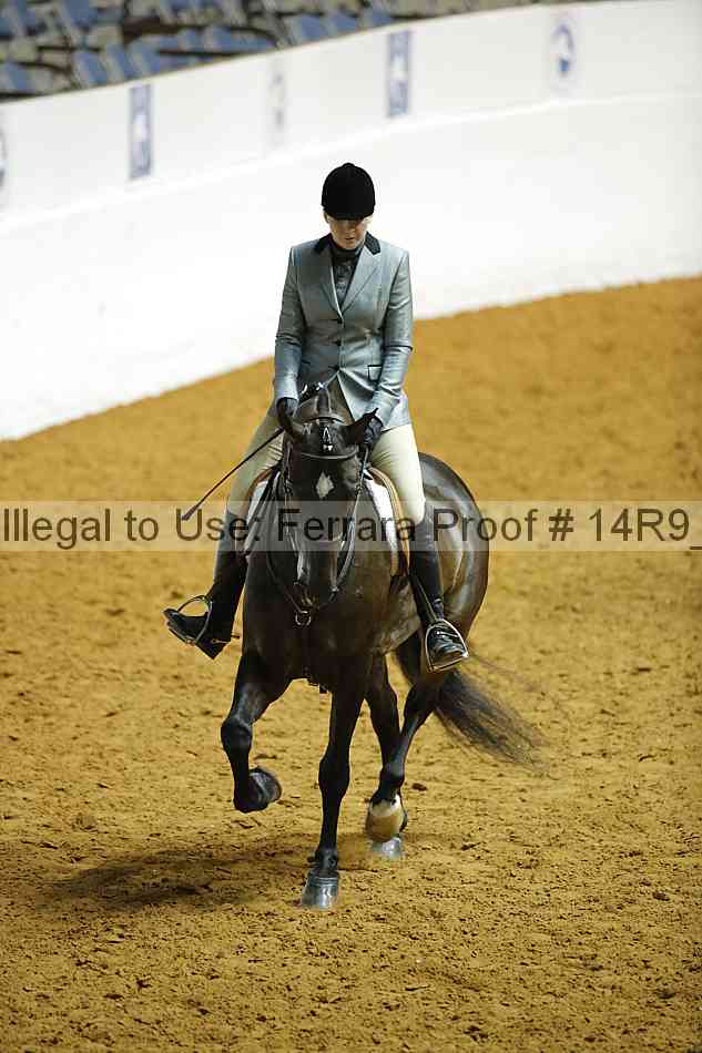 Proof 14r9_2689