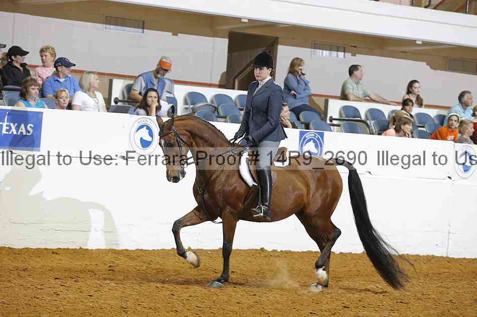 Proof 14r9_2690