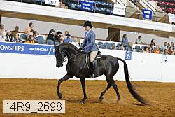 14r9_2698 proof