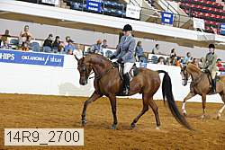 14r9_2700 proof