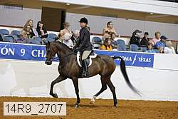 14r9_2707 proof