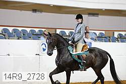 14r9_2728 proof