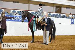 14r9_2731 proof