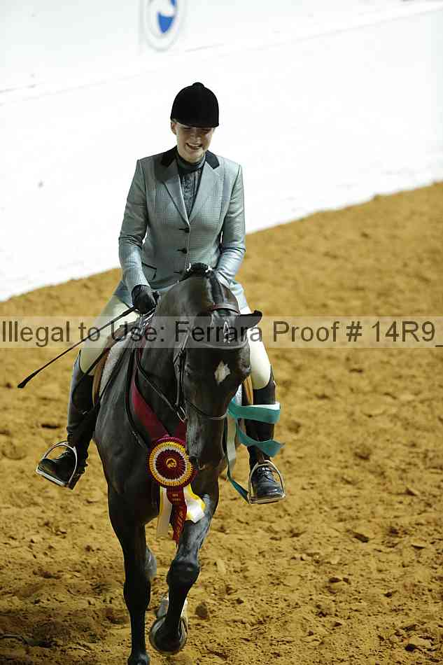Proof 14r9_2733