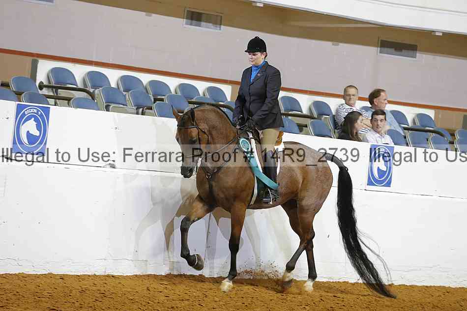 Proof 14r9_2739