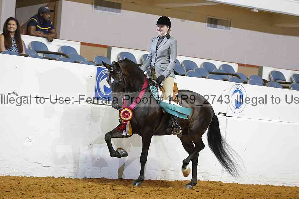 Proof 14r9_2743
