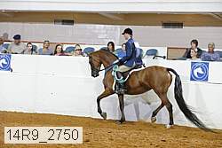 14r9_2750 proof