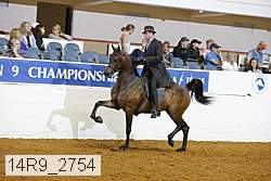 14r9_2754 proof