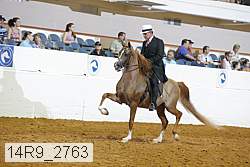 14r9_2763 proof