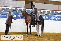 14r9_2770 proof