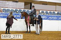 14r9_2771 proof