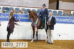 14r9_2772 proof