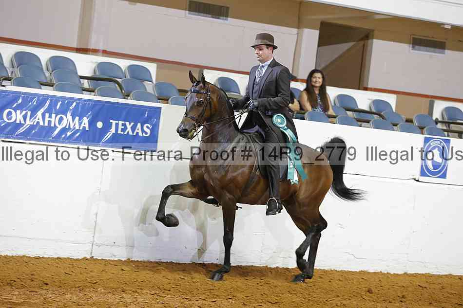 Proof 14r9_2779