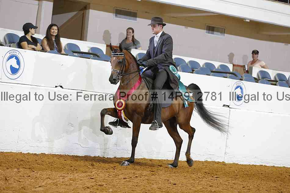 Proof 14r9_2781