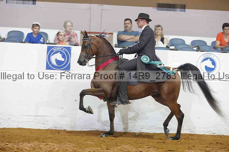 Proof 14r9_2783