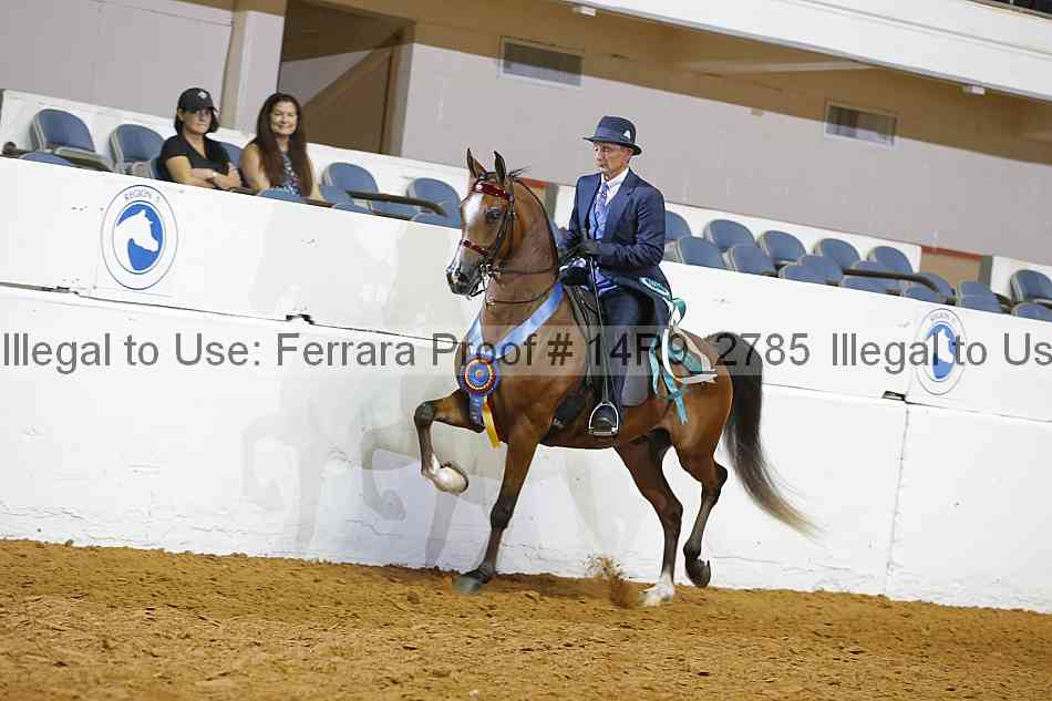 Proof 14r9_2785