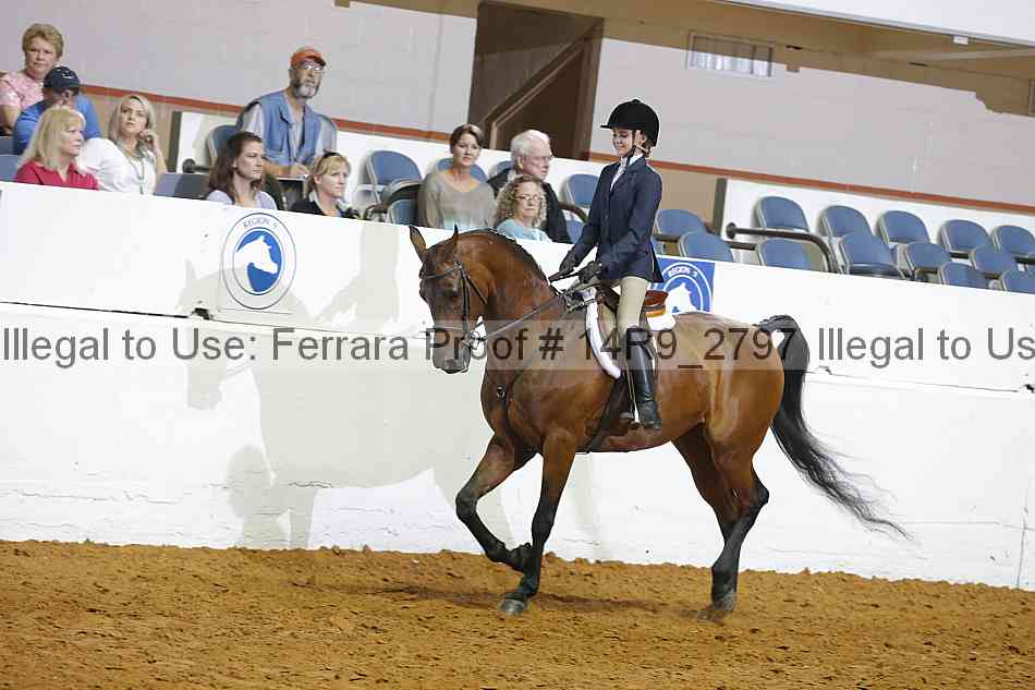 Proof 14r9_2797