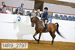 14r9_2797 proof