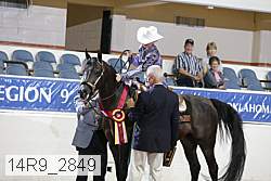 14r9_2849 proof