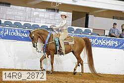 14r9_2872 proof