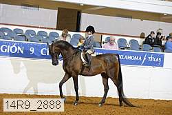 14r9_2888 proof