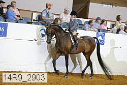 14r9_2903 proof