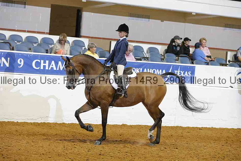 Proof 14r9_2908
