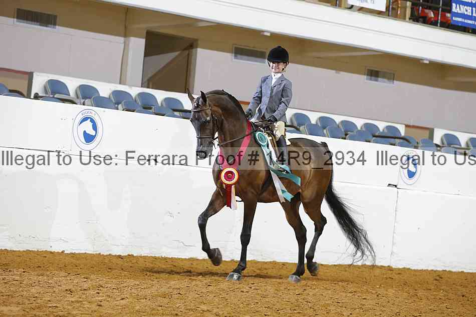 Proof 14r9_2934
