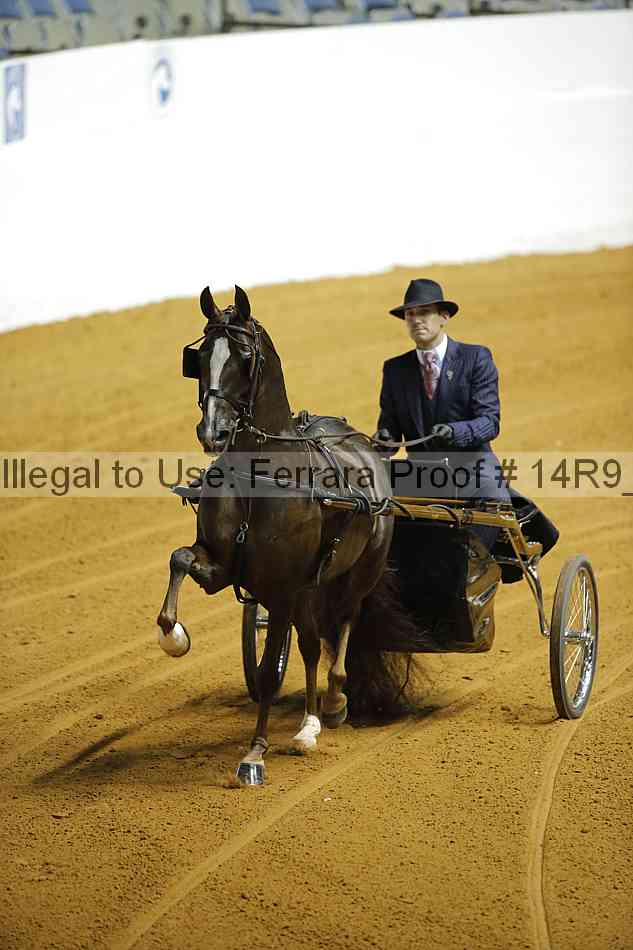 Proof 14r9_2957