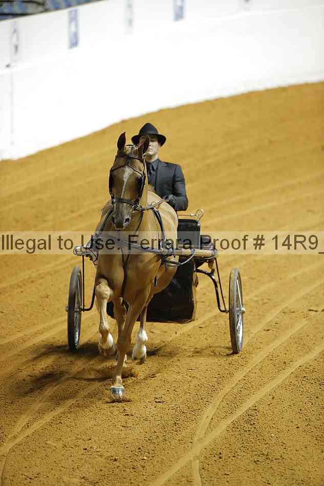 Proof 14r9_2958