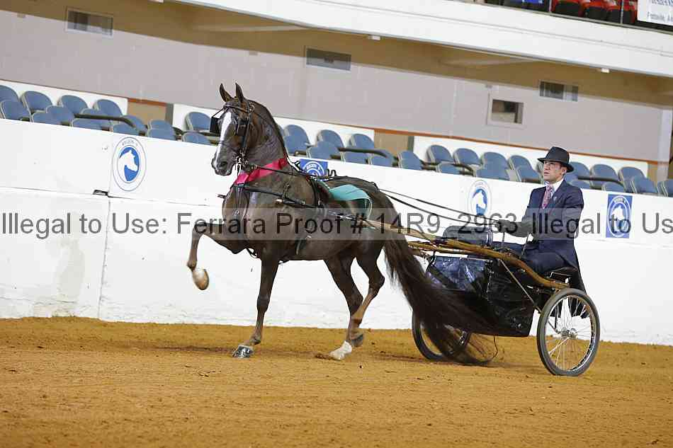 Proof 14r9_2963