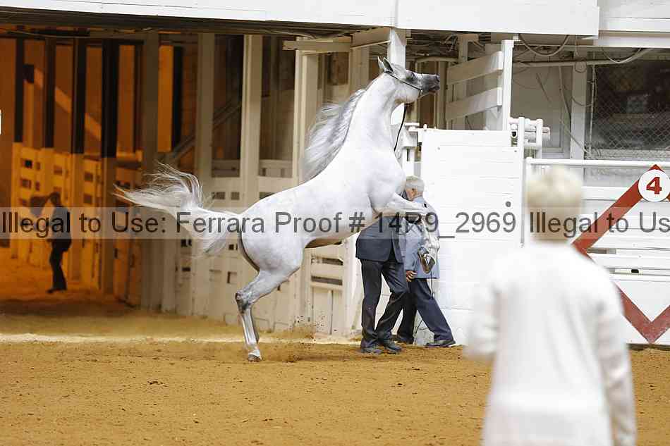 Proof 14r9_2969