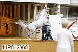 14r9_2969 proof