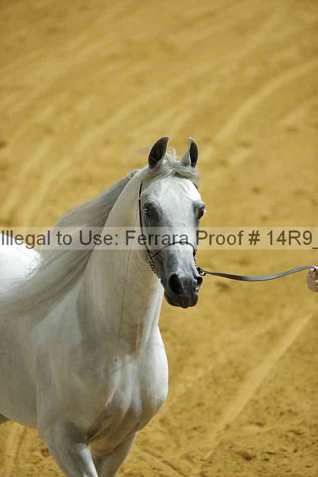 Proof 14r9_2970