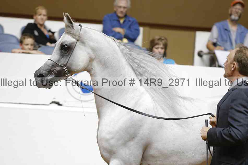 Proof 14r9_2971