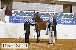 14r9_3000 proof
