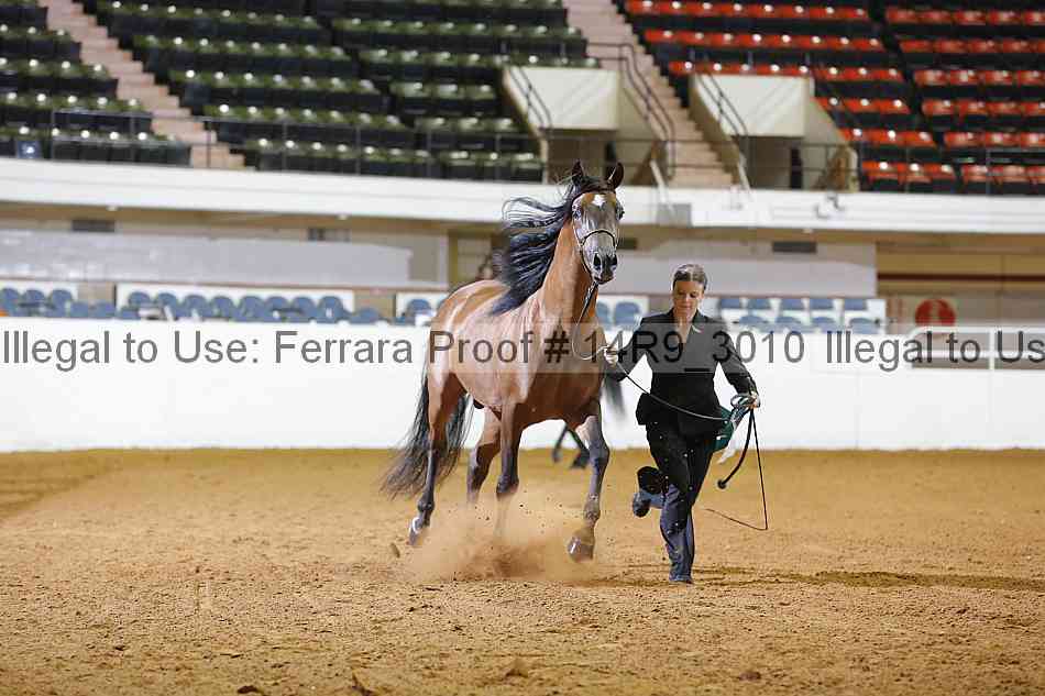 Proof 14r9_3010