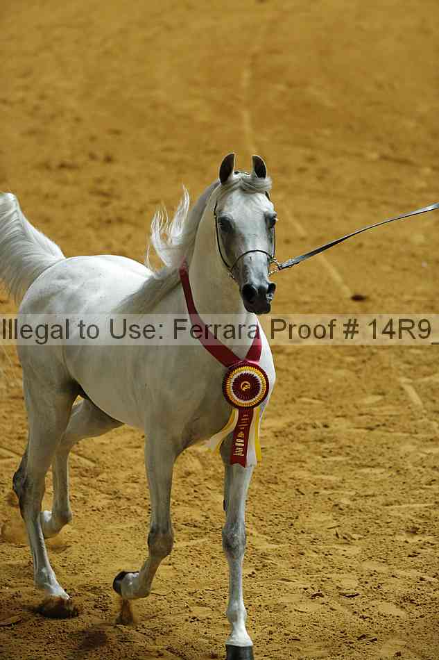 Proof 14r9_3017