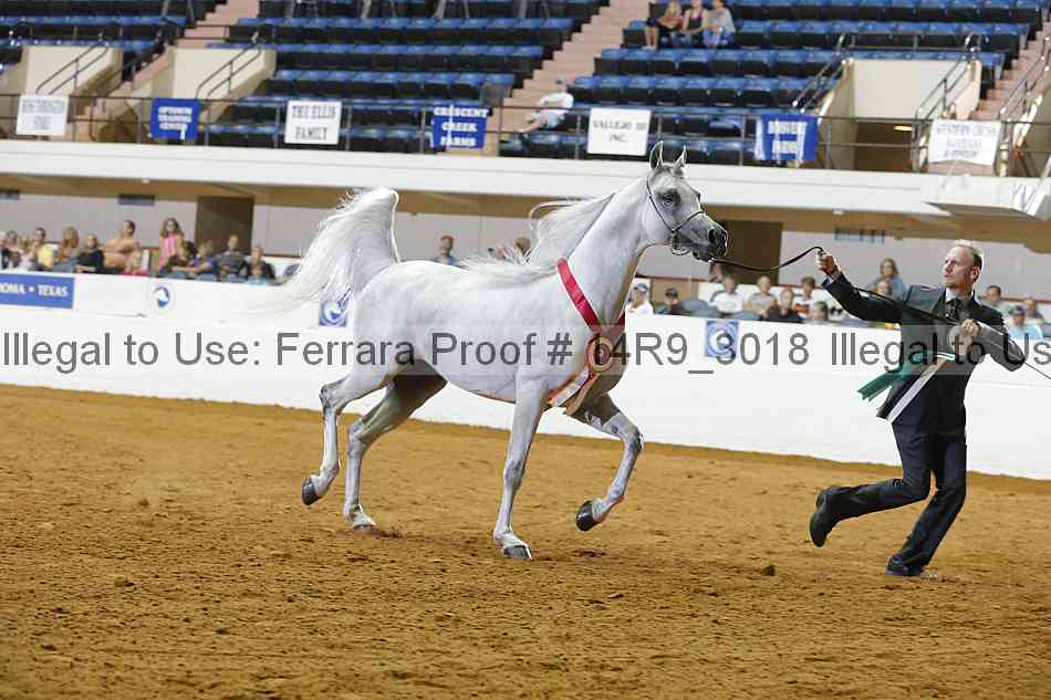 Proof 14r9_3018