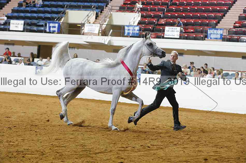 Proof 14r9_3019